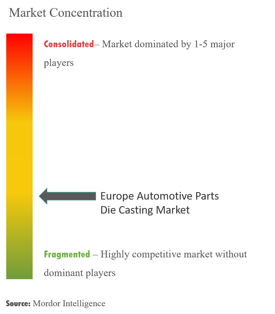 Europe Automotive Parts Die Casting Market Concentration